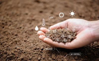 Get cost effective soil testing service!