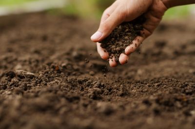 Optimize plant growth with soil testing!