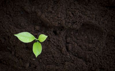 Improve soil health with soil testing!